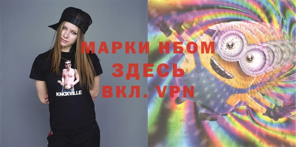 индика Алзамай