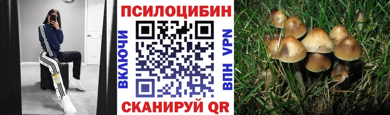 хочу   Чаплыгин  Псилоцибиновые грибы Cubensis 